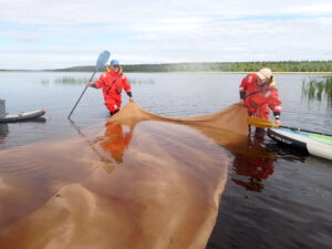 Meet Eveliina Lampinen, Marine biologist, North Ostrobothnia ELY Centre