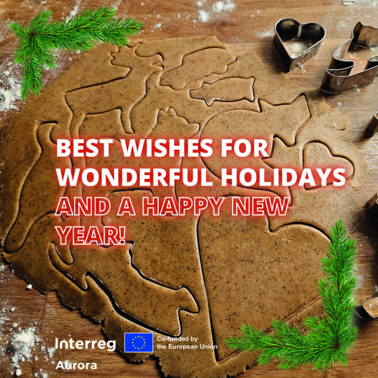 Happy holidays greeting from Interreg Aurora, 2024