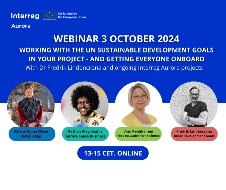 SDG Webinar