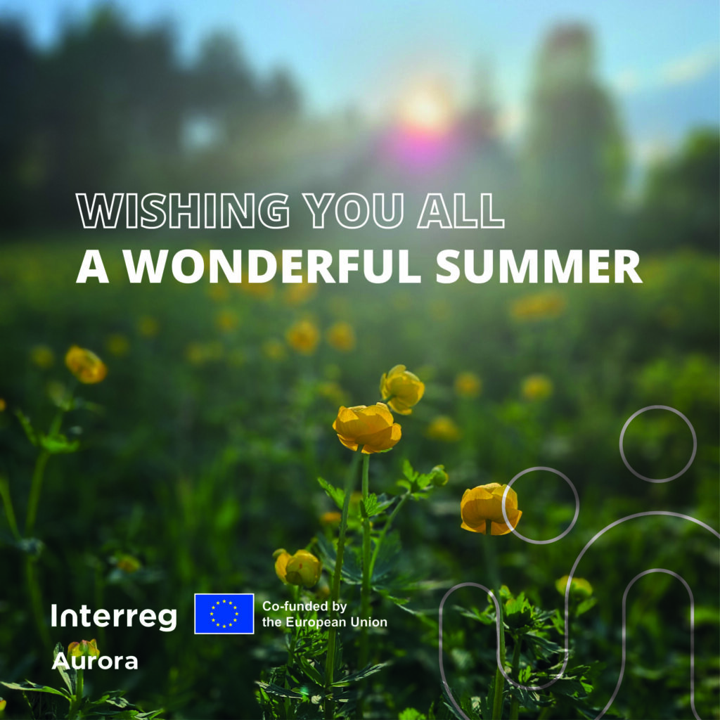Summer greetings from the Interreg Aurora team
