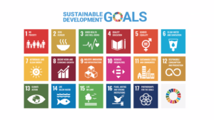 UN Sustainable Development Goals