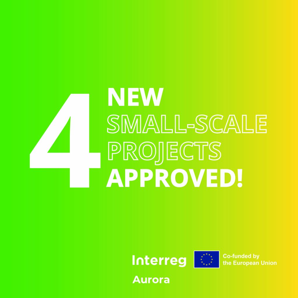 Interreg Aurora funds 4 new small-scale projects, October 2024